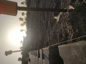 pavimentação intertravada